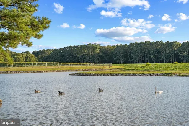 $13,750,000 | 27772 Sharp Road, Easton, MD 21601