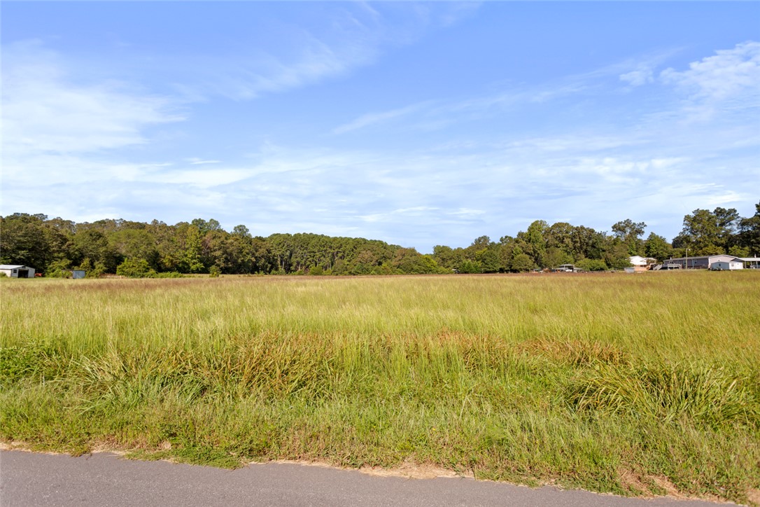 524 Pine Thicket Road Liberty, SC 29657 - Photo 4 of 21 Gallery Image 4