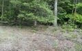 17 Idle Lane Blue Ridge, GA 30513 - Photo 5 of 5 Additional View