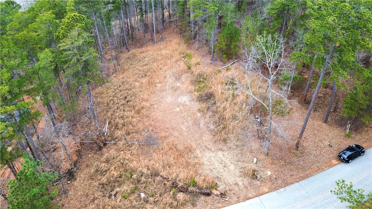 This expansive lot offers a tranquil setting with ample space for building your dream retreat.