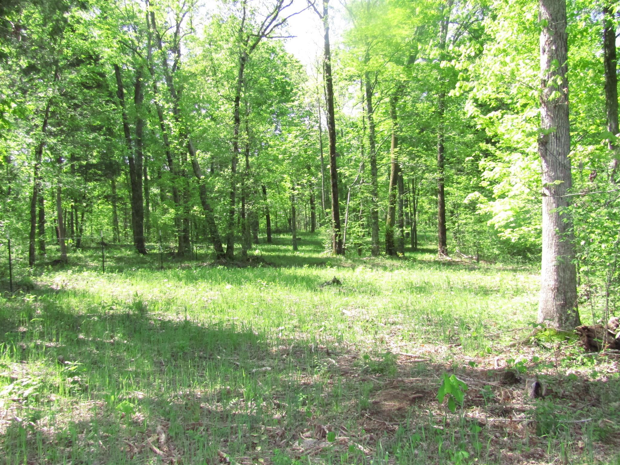 20 Burford Road Lebanon, TN 37087 - Photo 11 of 25 a view of outdoor space and yard