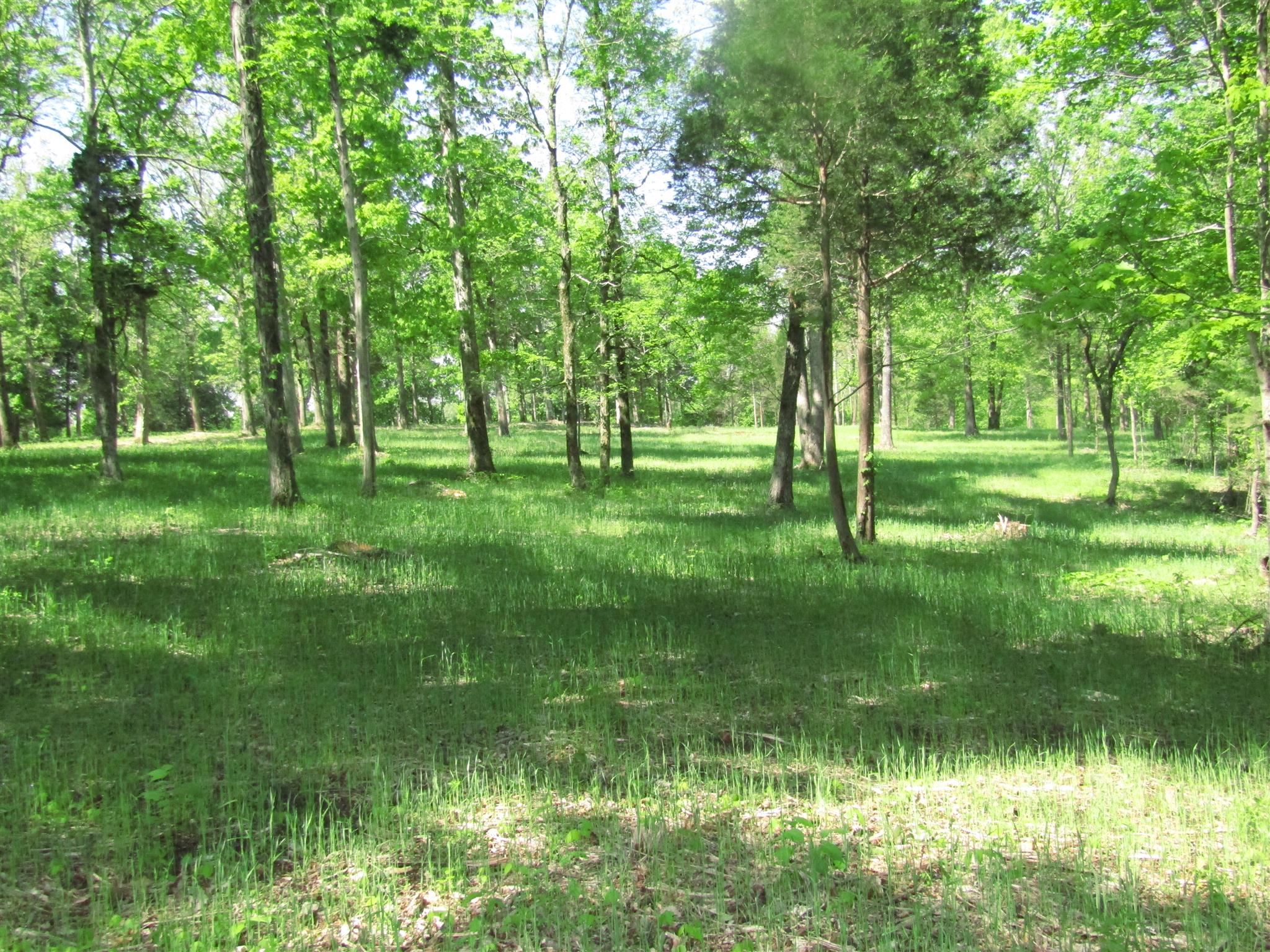 20 Burford Road Lebanon, TN 37087 - Photo 5 of 25 a grassy field with trees in the background