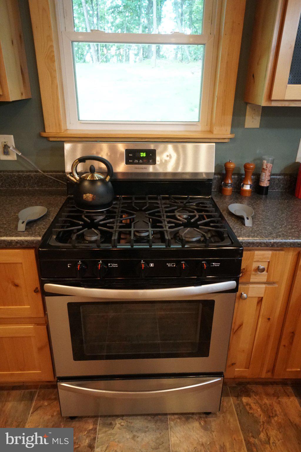 150 Sharp Ridge Lane Franklin, WV 26807 - Photo 39 of 69 Modern kitchen with sleek appliances.