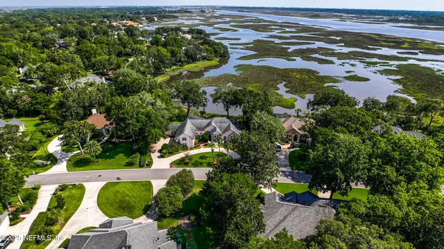 a view of a garden with plants and a bench under palm trees