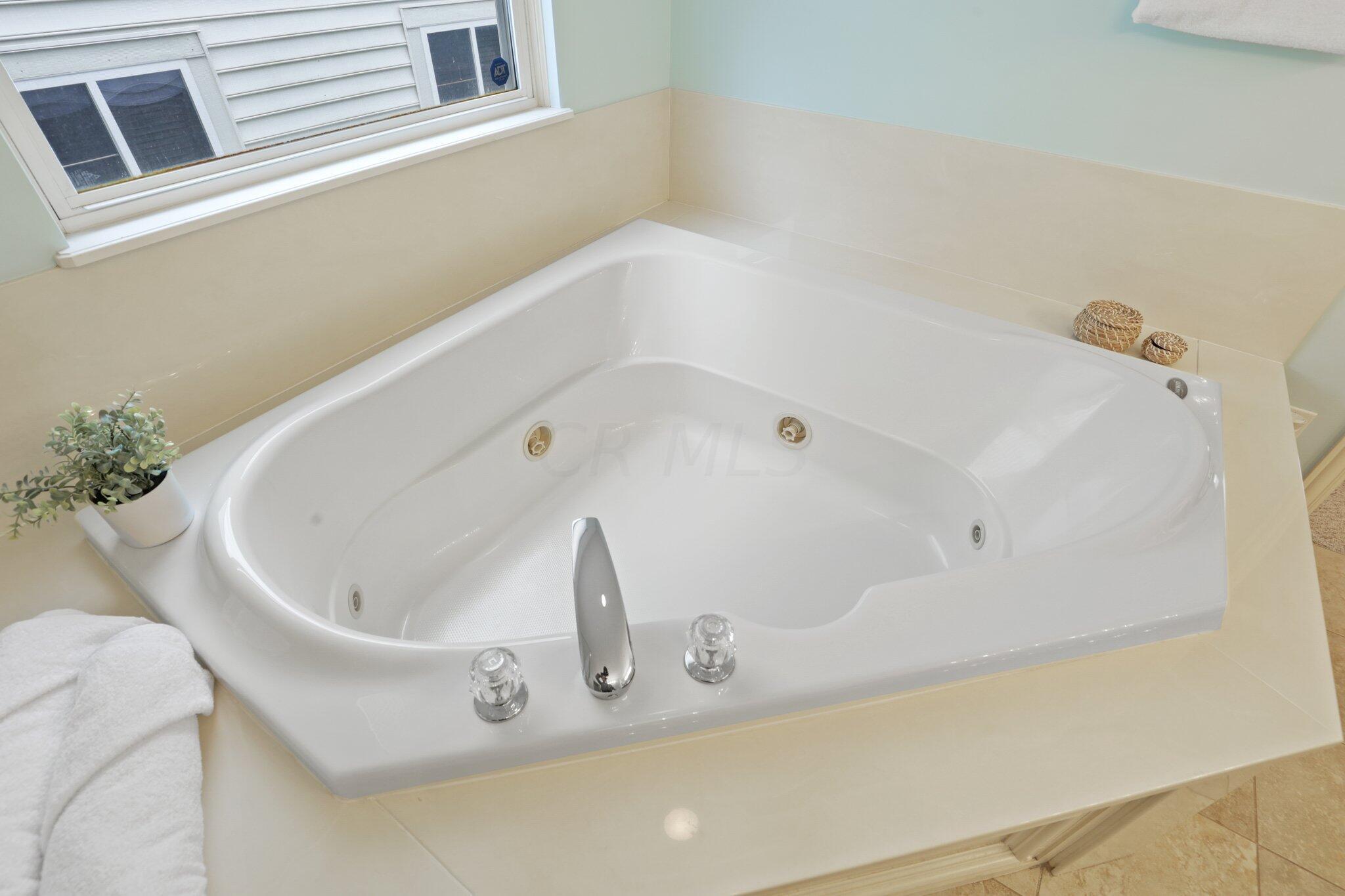 145 Rivers Edge Way Columbus, OH 43230 - Photo 39 of 69 Jetted tub in Primary
