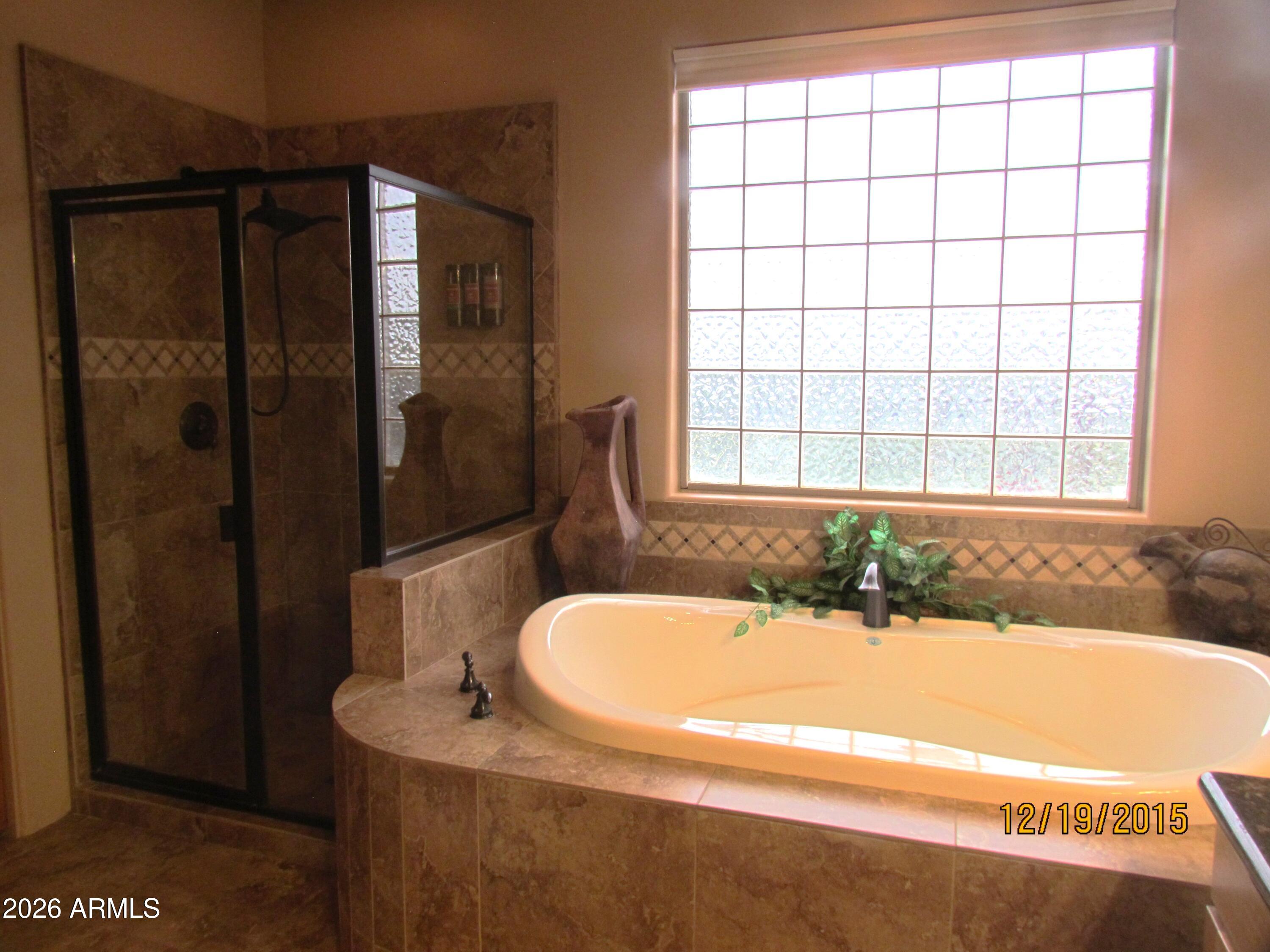 30012 North 170th Street Rio Verde, AZ 85263 - Photo 11 of 32 a bathroom with a tub and shower