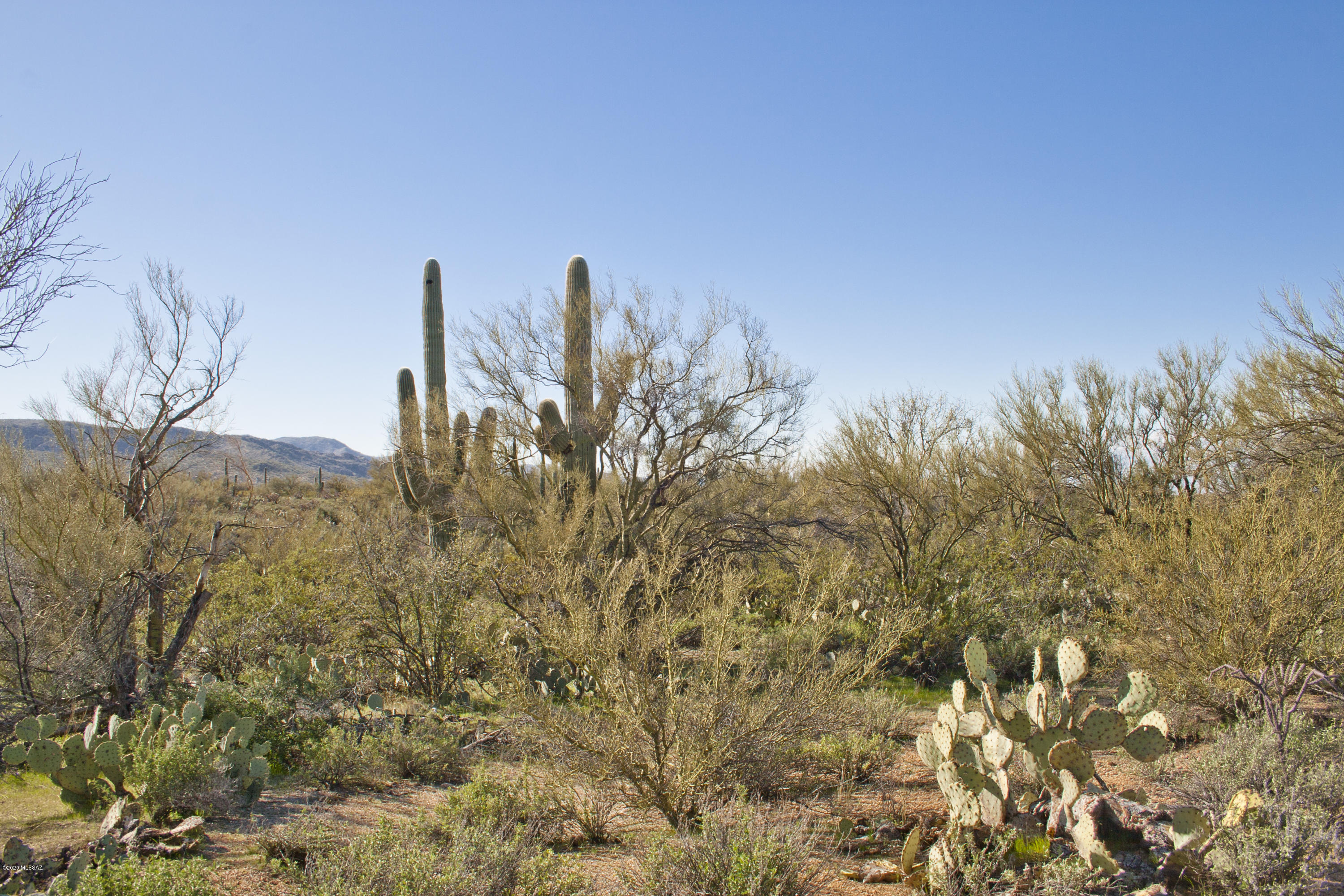 0 South Deerfield Road Marana, AZ 85658 - Photo 20 of 26