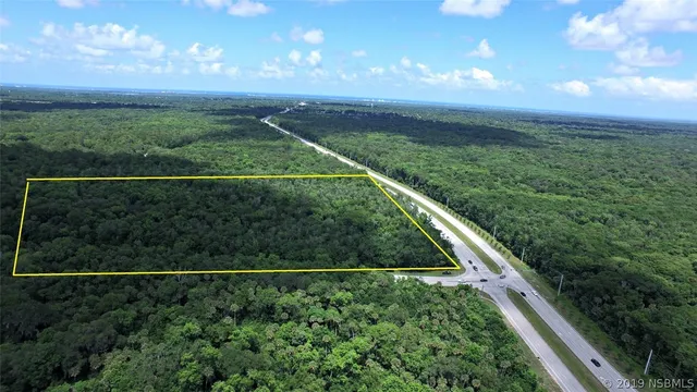 a view of a yard with a garden