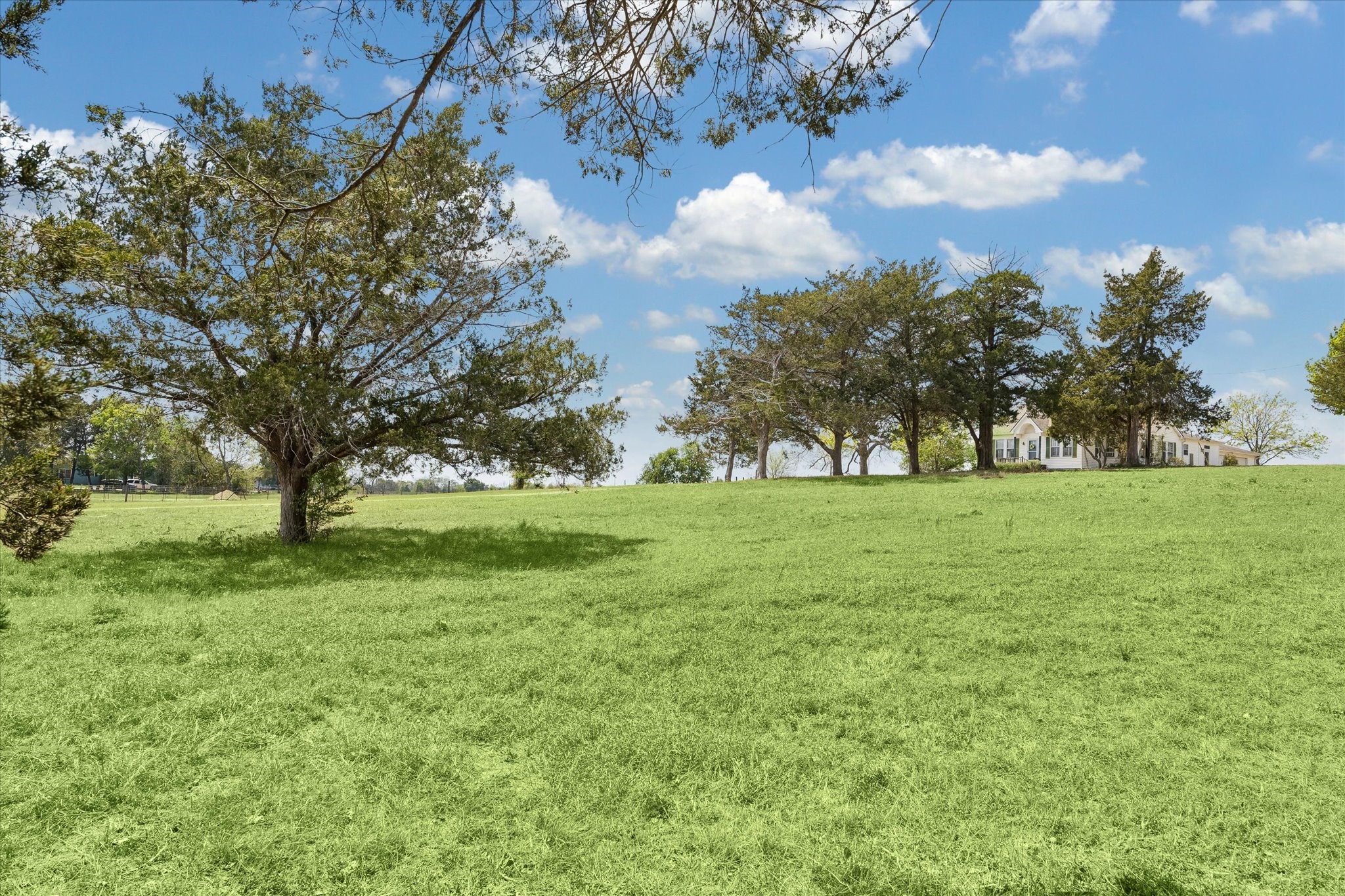 5130 Wonder Hill Road Chappell Hill, TX 77426 - Photo 26 of 31