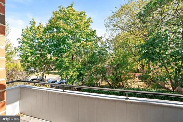 a view of a window and a tree in the background