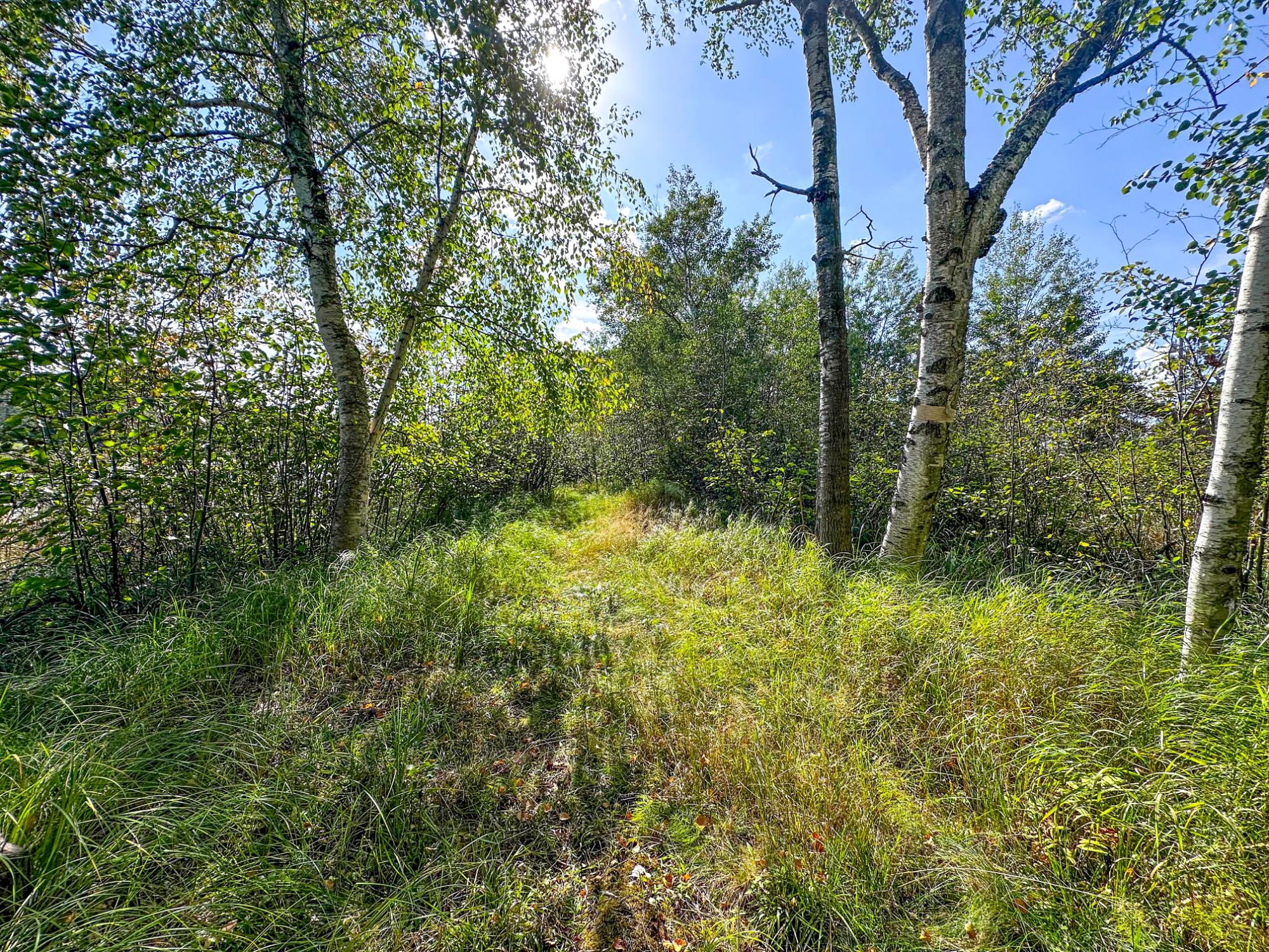N8633 East Wilson Flowage Road Phillips, WI 54555 - Photo 42 of 63 Gallery Image 42