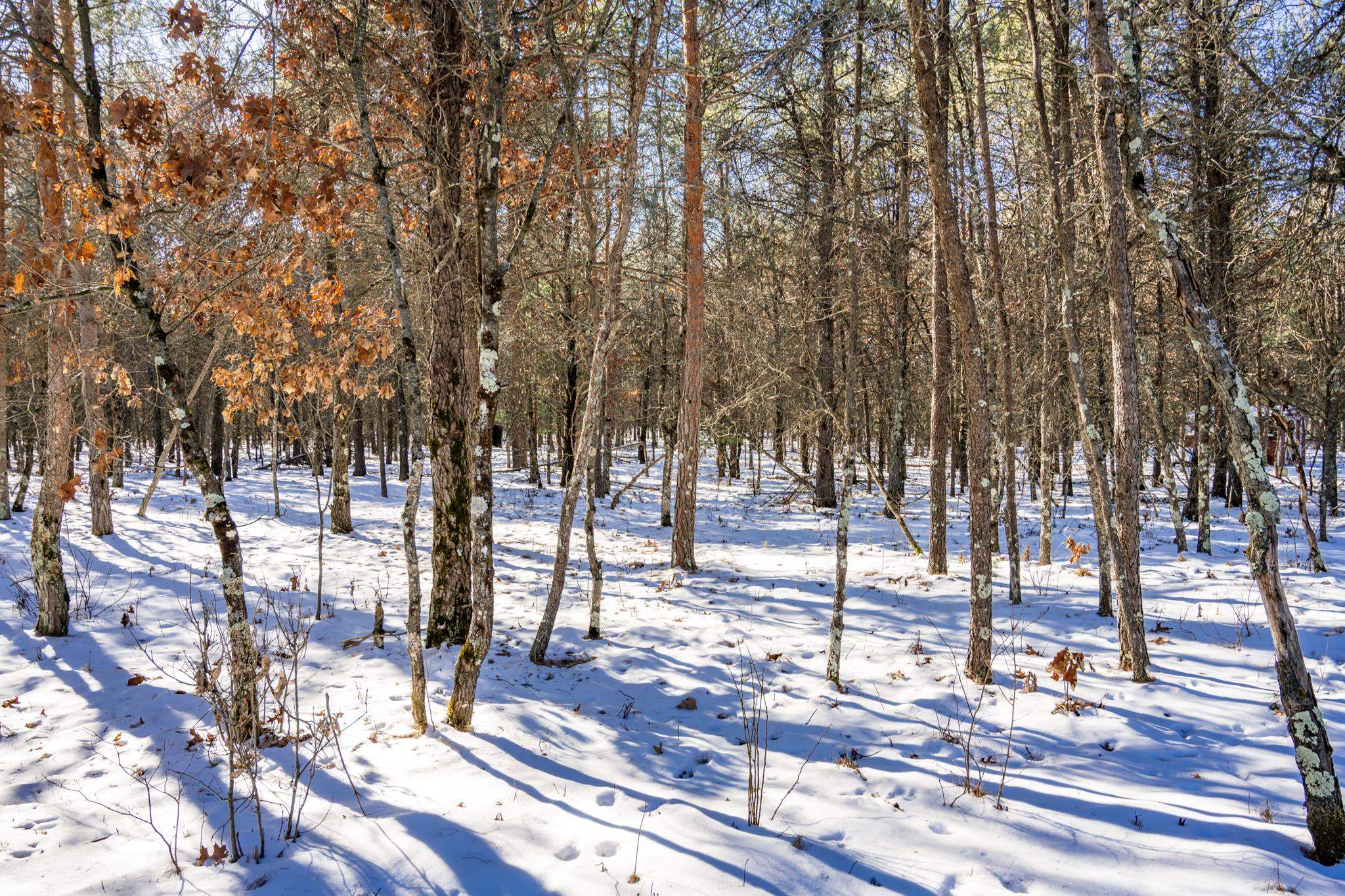 W5251 Wander Lane Necedah, WI 54646 - Photo 20 of 26