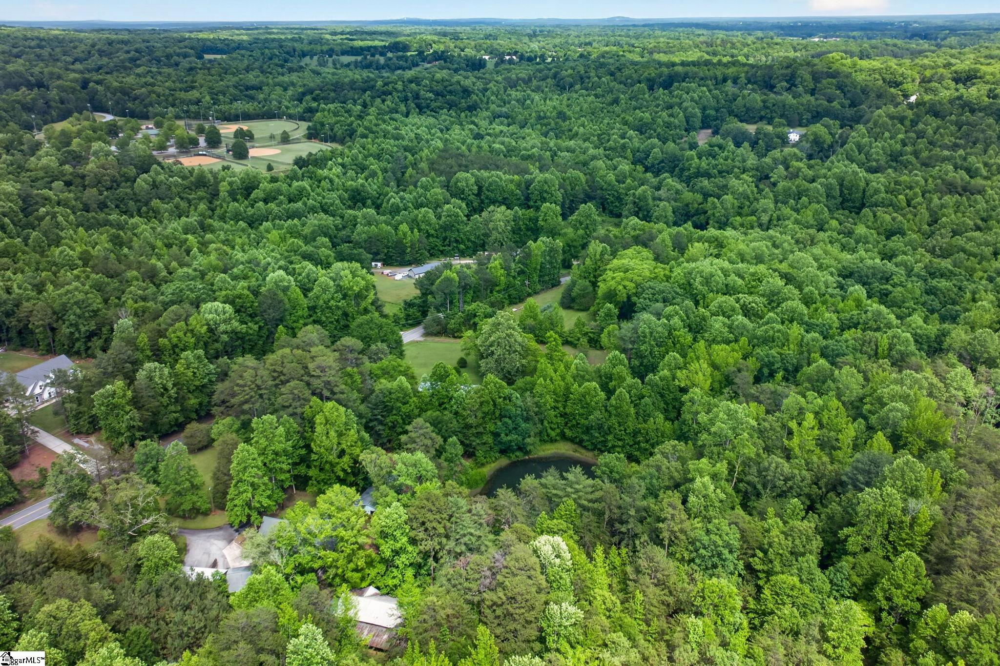 1310 Camp Creek Road Taylors, SC 29687 - Photo 40 of 50