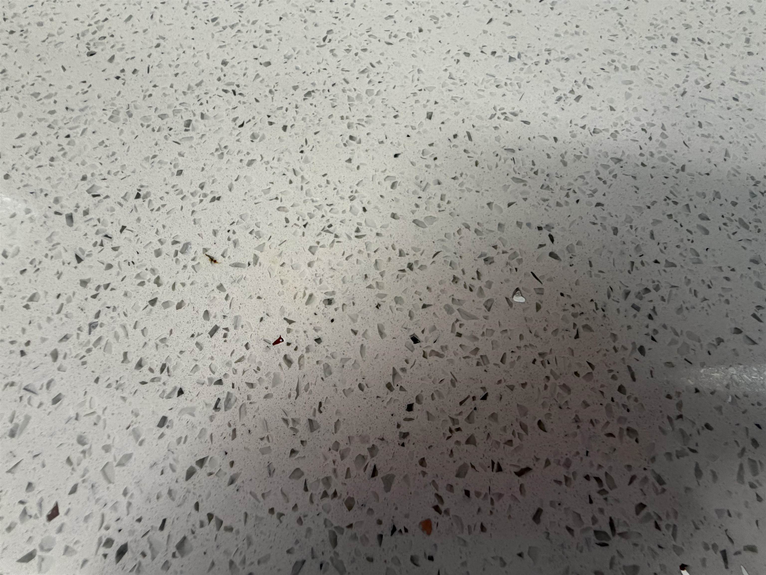 607 Geddings Drive Myrtle Beach, SC 29588 - Photo 8 of 21 Detailed view