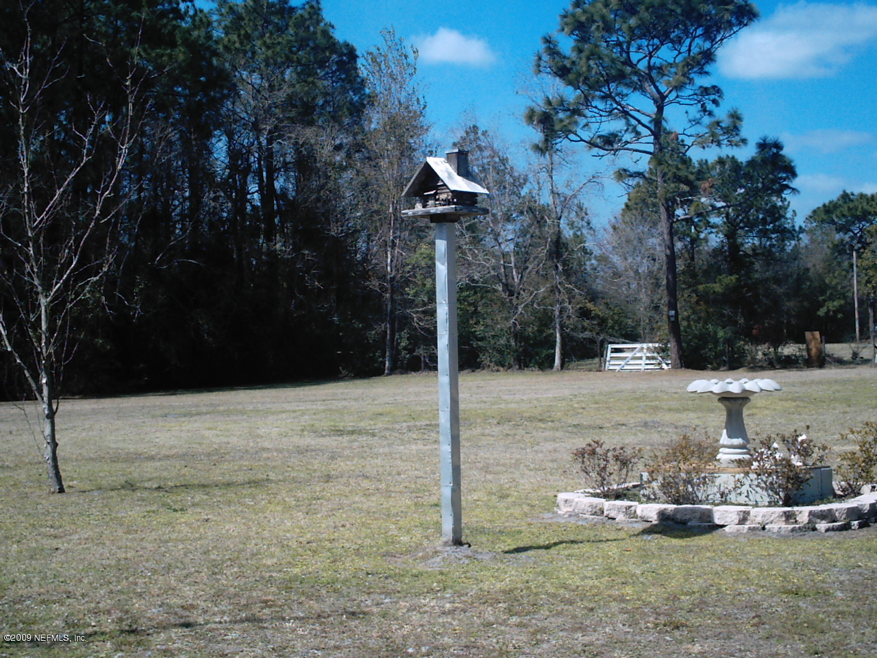15811 Parete Road Jacksonville, FL 32218 - Photo 2 of 8 Backyard