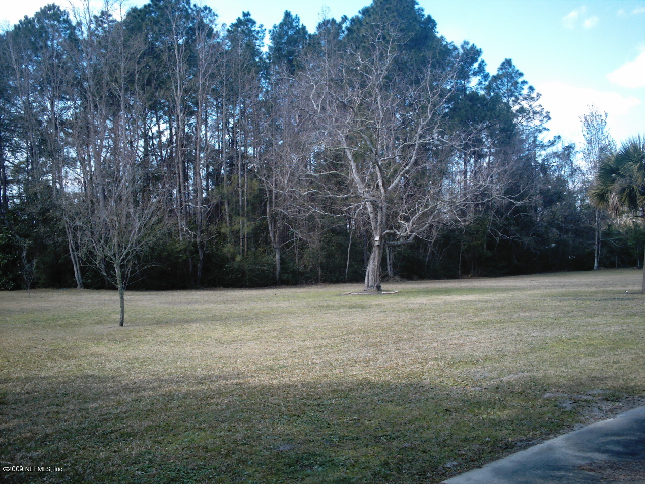15811 Parete Road Jacksonville, FL 32218 - Photo 7 of 8 Front yard
