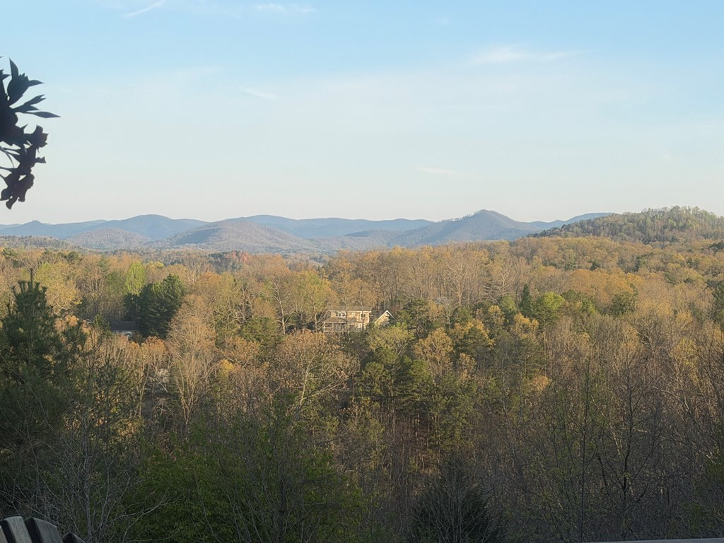 745 Buck Ridge Drive Murphy, NC 28906 - Photo 41 of 54