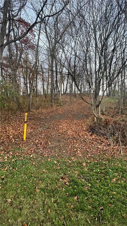 0 Weavertown Road Canonsburg, PA 15317 - Photo 6 of 19 a view of a tree with a yard