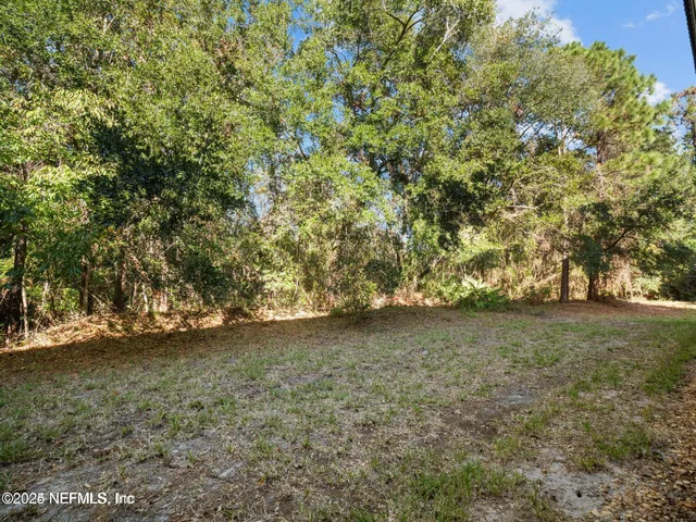 a view of a yard with a trees