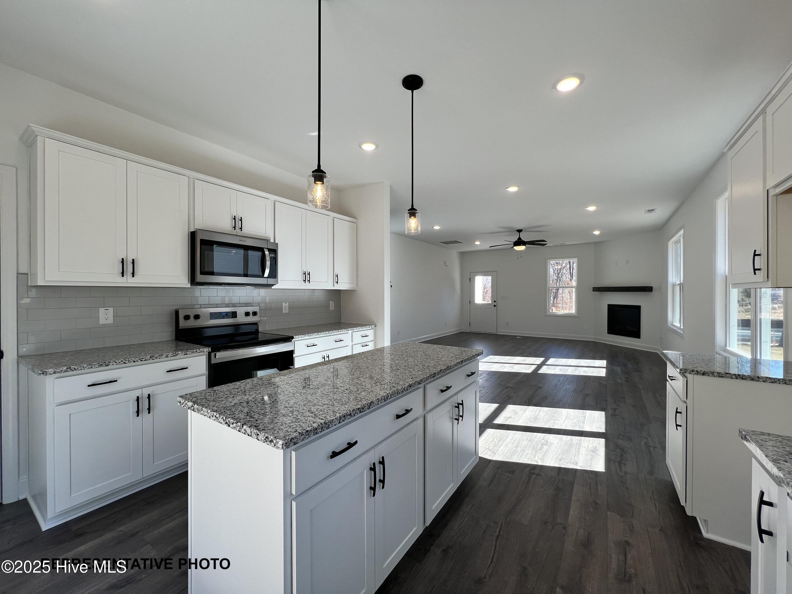 628 Springtooth Drive Zebulon, NC 27597 - Photo 3 of 9 Representative Photo - Finishes May Vary