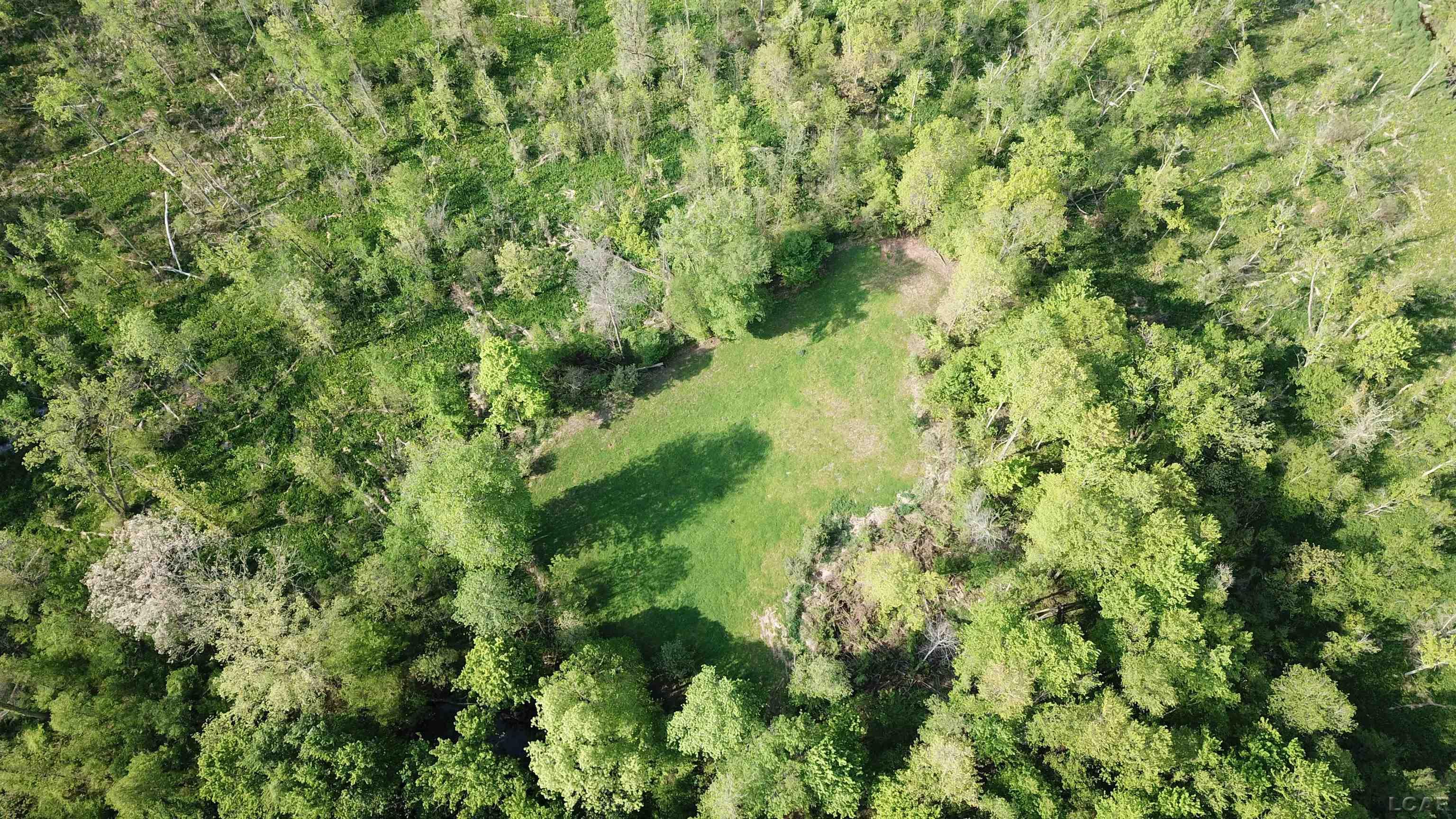 15252 27 Mile Road Albion, MI 49224 - Photo 50 of 57