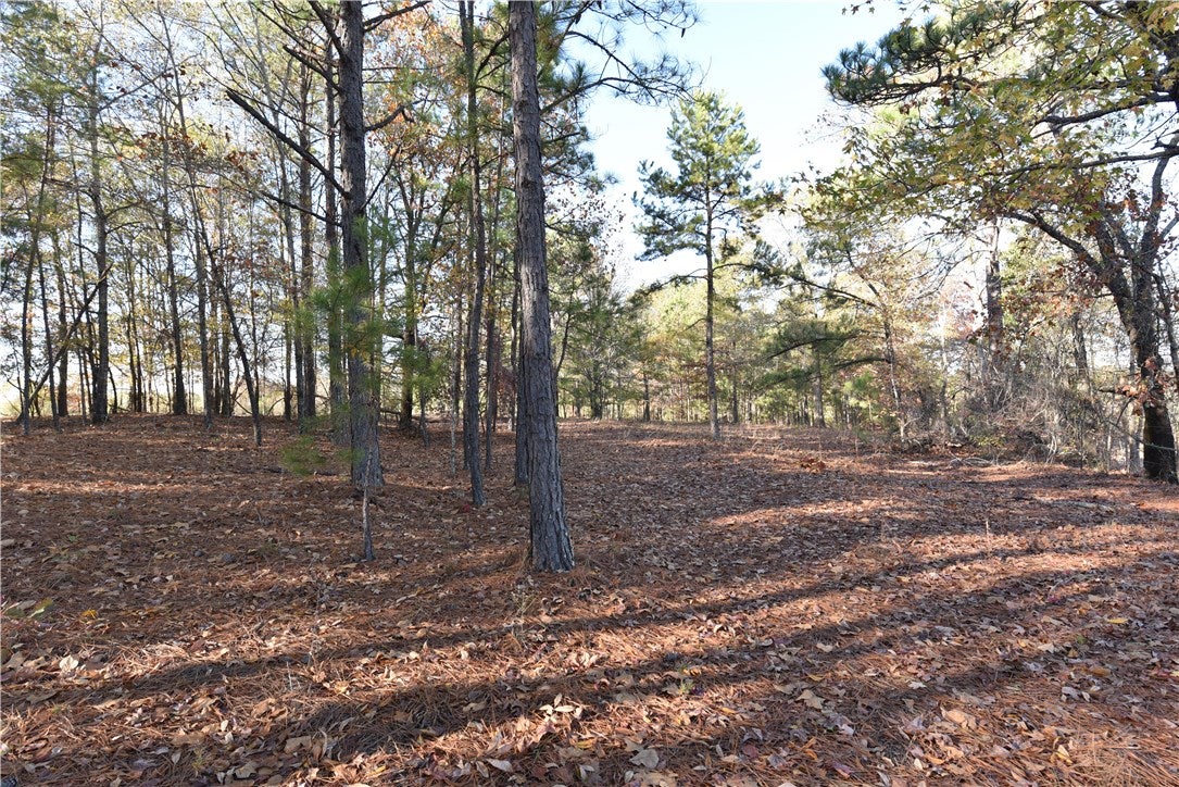 573 Rolling Ridge Road Auburn, AL 36830 - Photo 6 of 30 Gallery Image 6