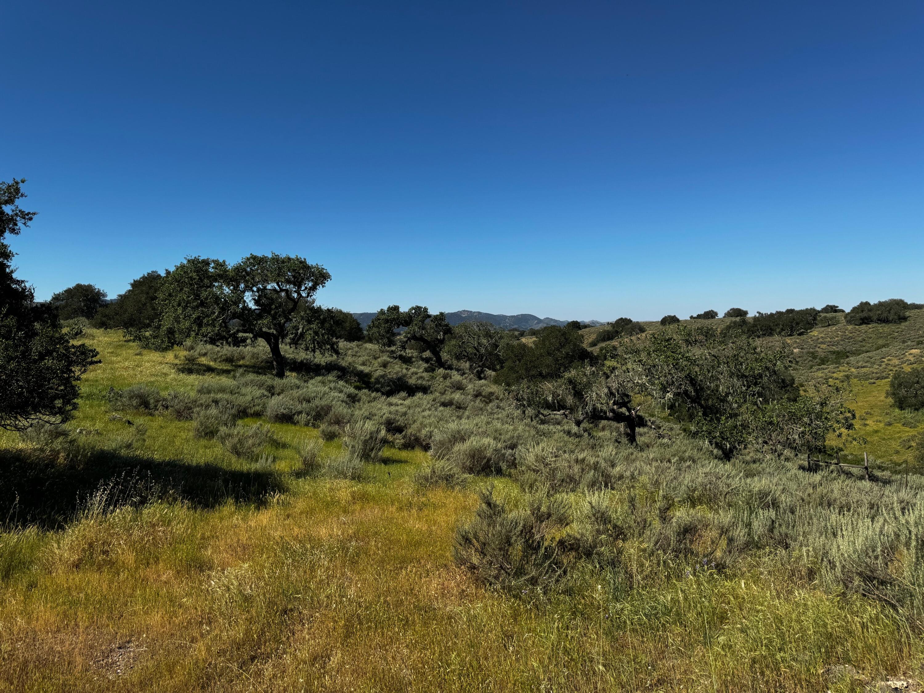 0 Alisos Canyon Road Los Alamos, CA 93440 - Photo 40 of 102 IMG_3632