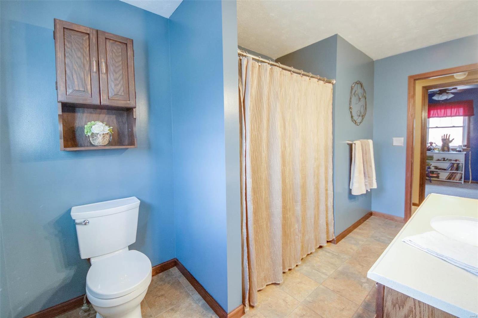 10768 Chesterfield Road Shipman, IL 62685 - Photo 22 of 28