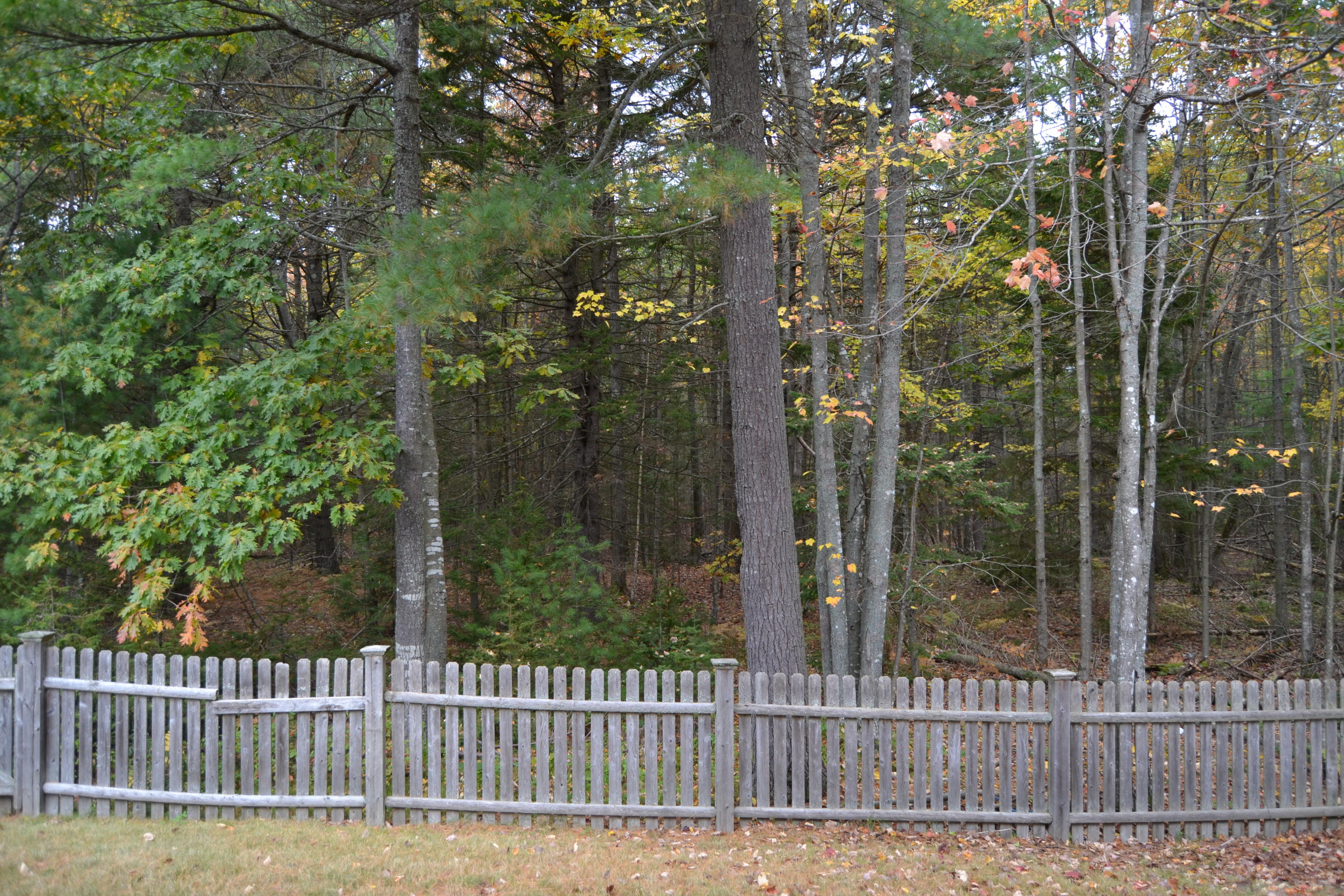 30 Beaver Pond Road, Unit 30 Brunswick, ME 04011 - Photo 28 of 32 DSC_0235
