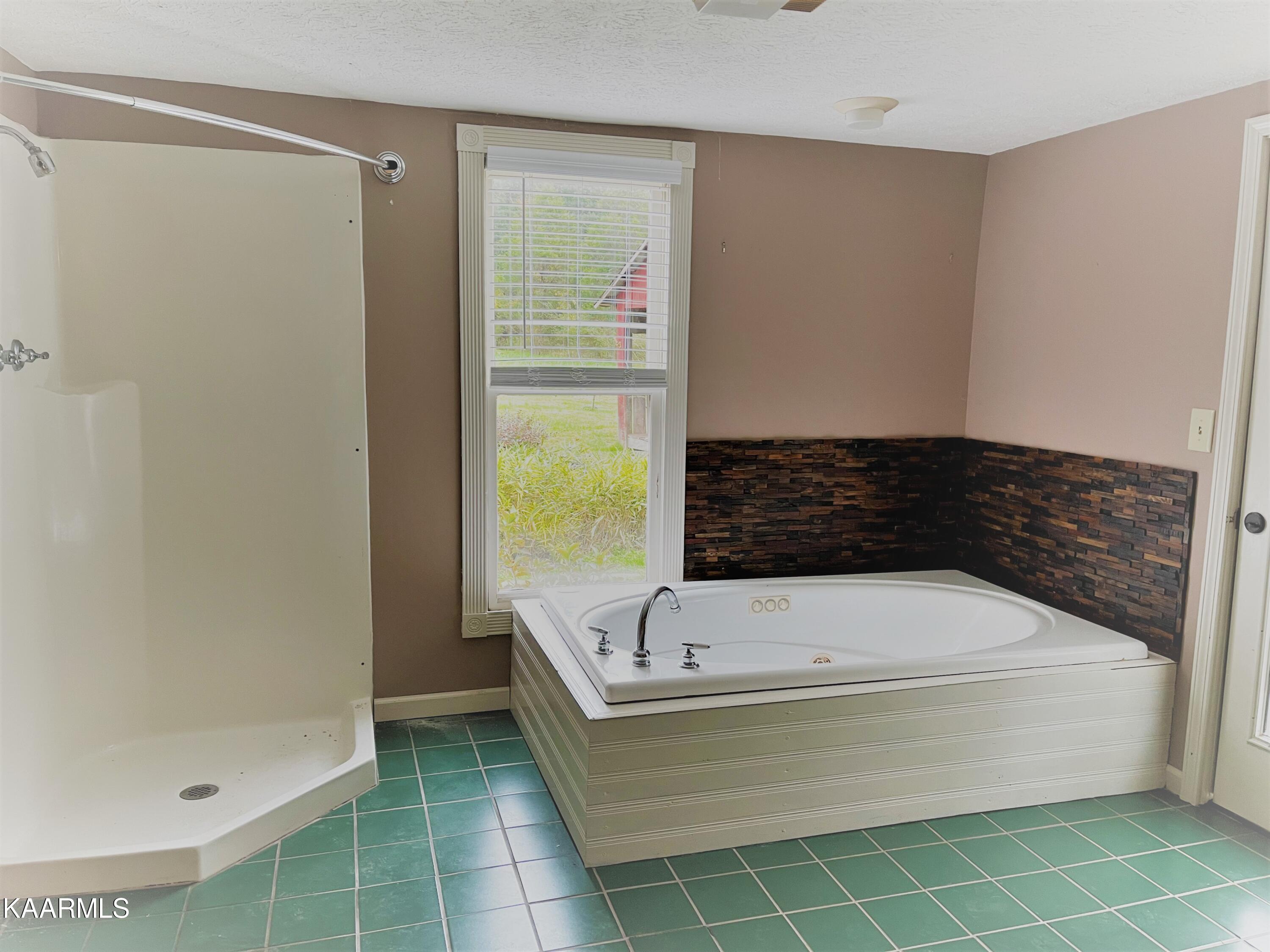 5400 Wolf Creek Road Spring City, TN 37381 - Photo 26 of 37 Master Bath Tub