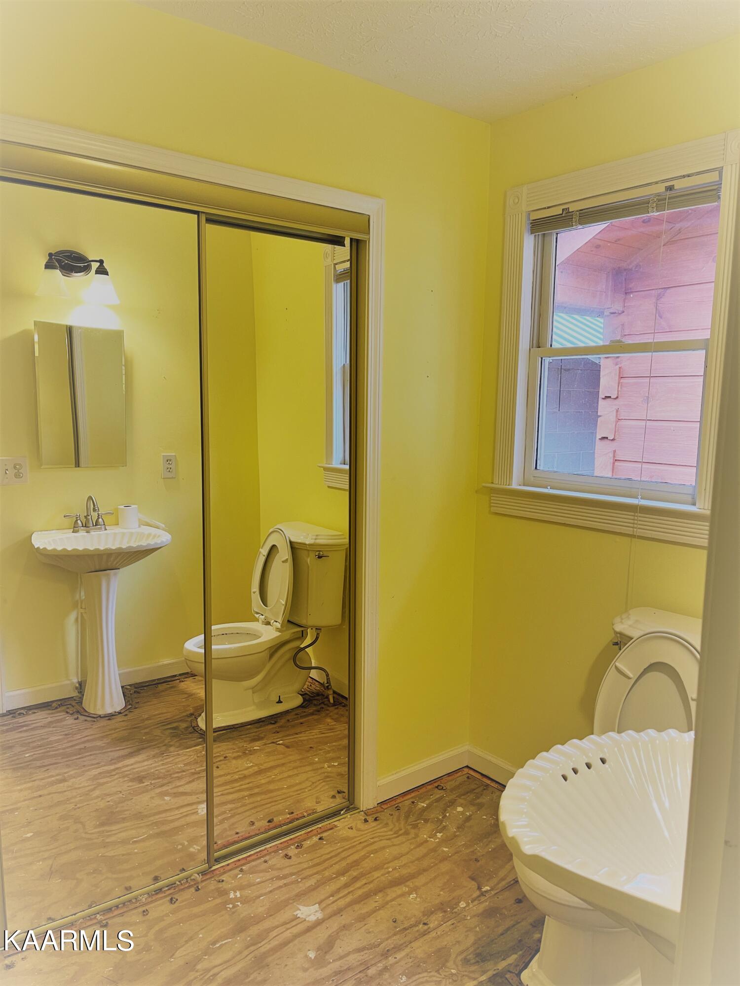 5400 Wolf Creek Road Spring City, TN 37381 - Photo 28 of 37 Guest Bathroom