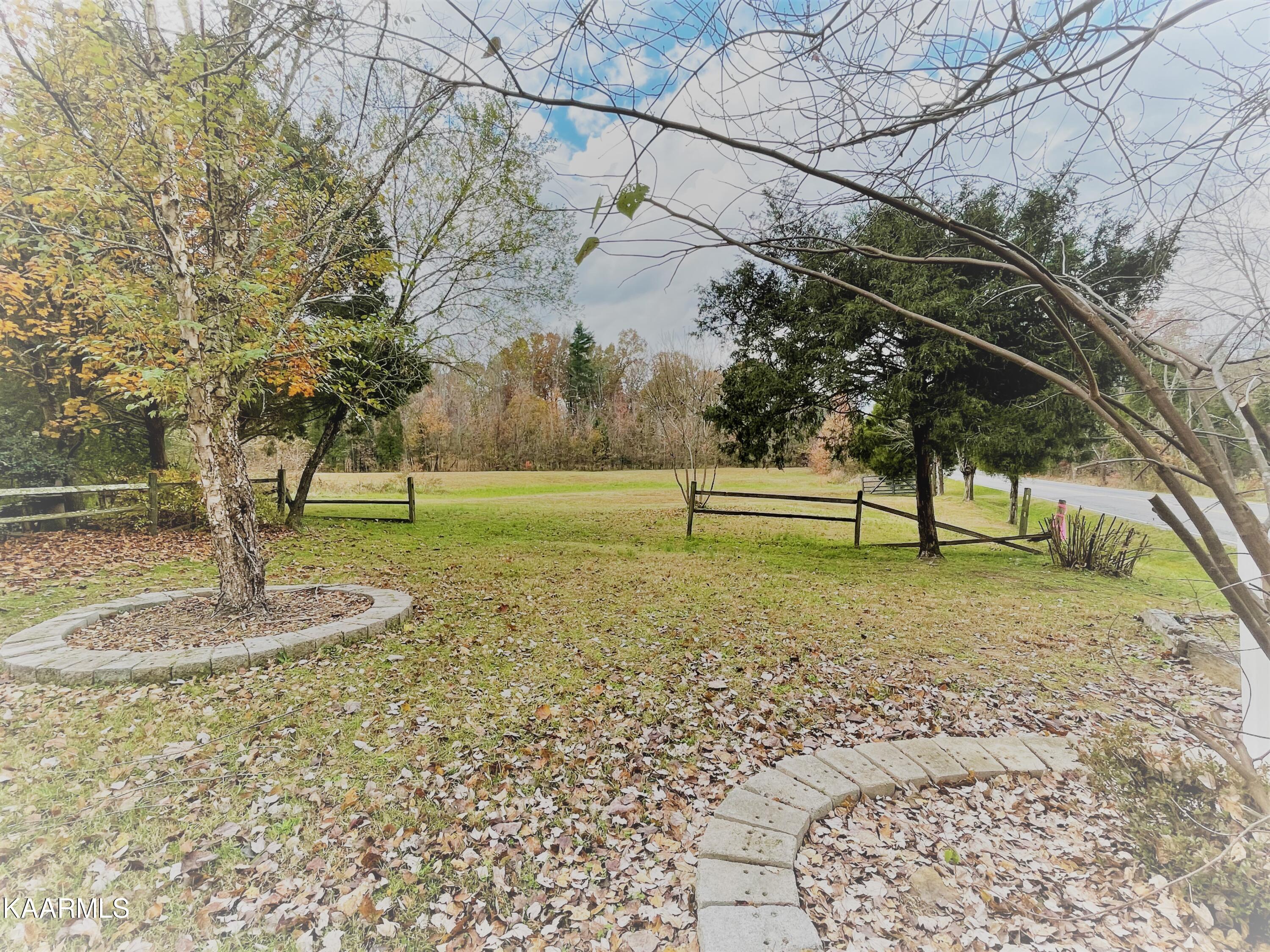 5400 Wolf Creek Road Spring City, TN 37381 - Photo 4 of 37 Front Right Yard