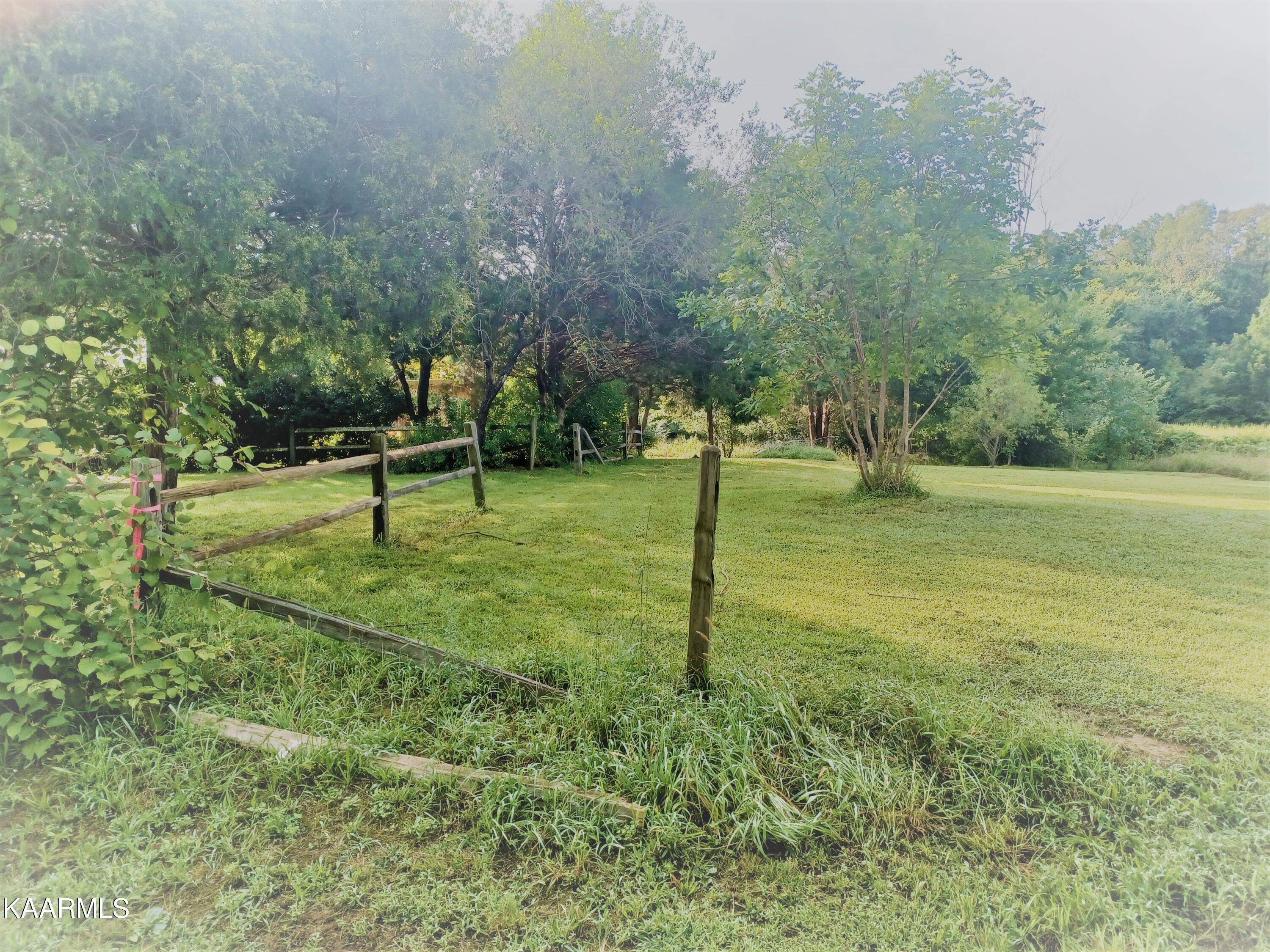 5400 Wolf Creek Road Spring City, TN 37381 - Photo 35 of 37 Property 3
