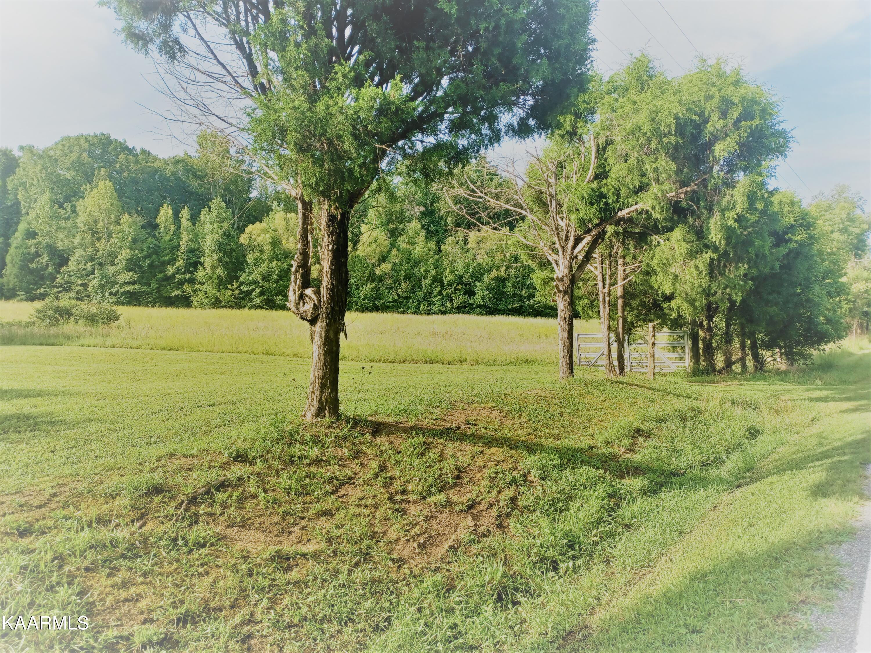 5400 Wolf Creek Road Spring City, TN 37381 - Photo 36 of 37 Property