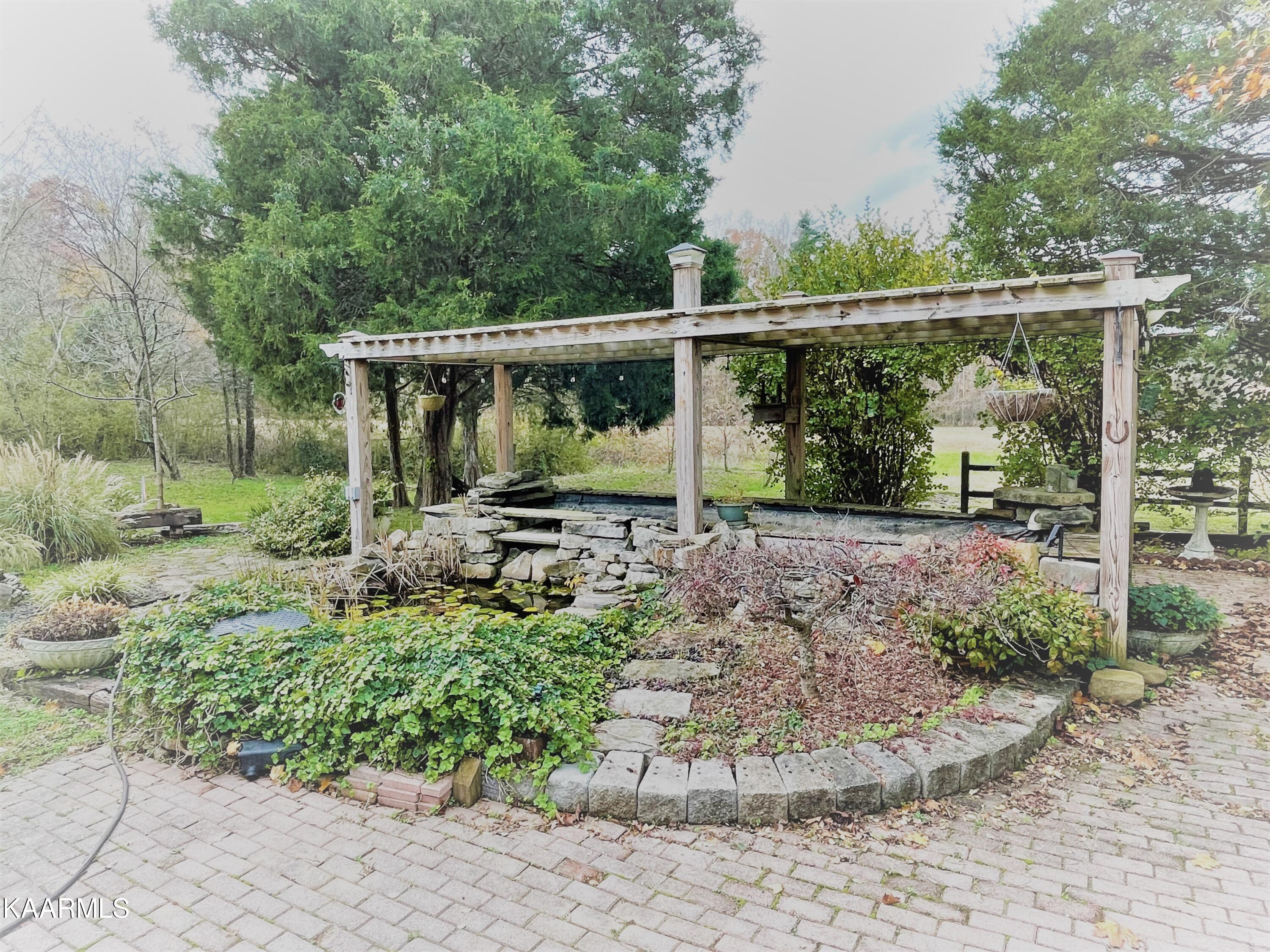 5400 Wolf Creek Road Spring City, TN 37381 - Photo 6 of 37 Right Side Fish Pond