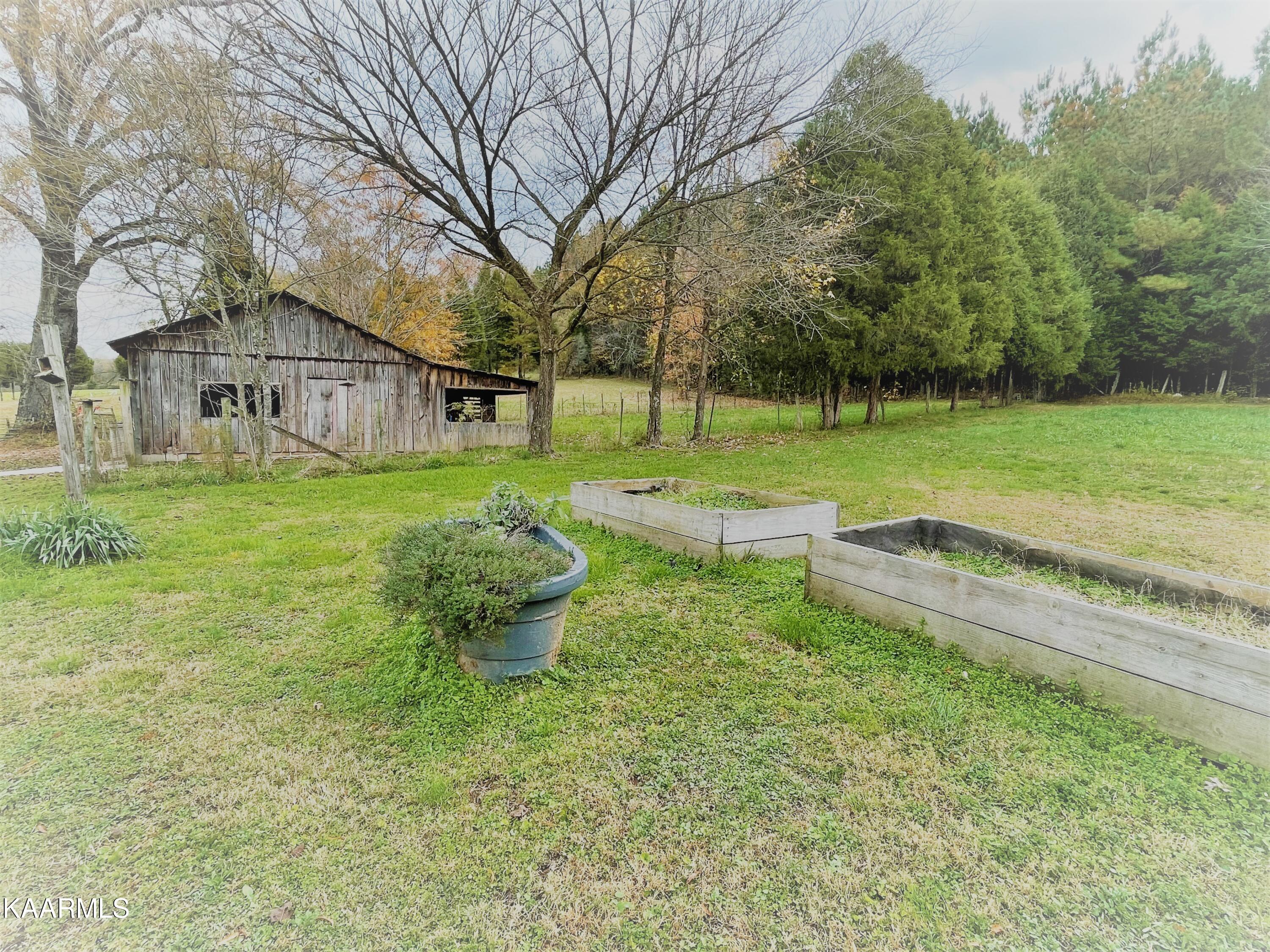 5400 Wolf Creek Road Spring City, TN 37381 - Photo 9 of 37 Backyard