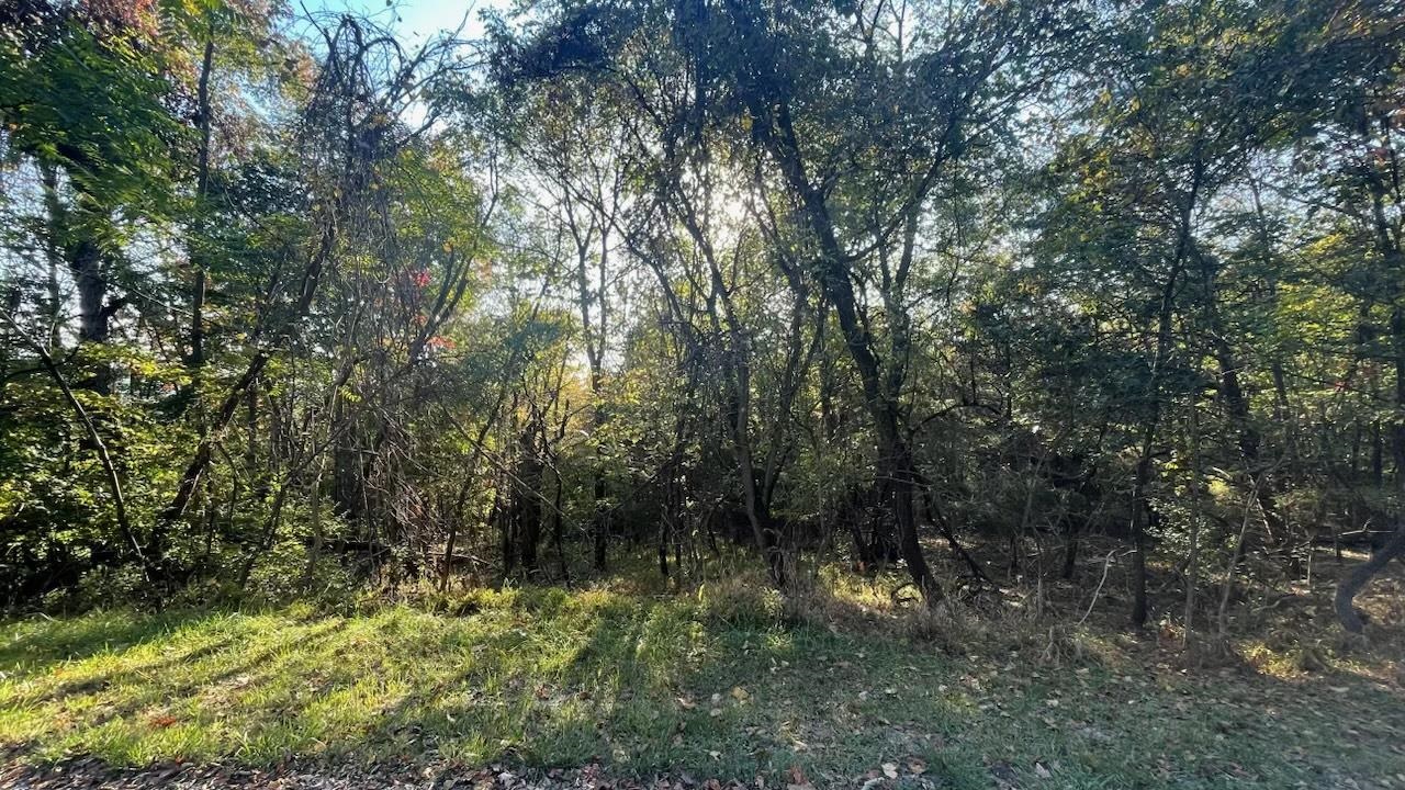 Lot 23 Woodside Drive Rileyville, VA 22650 - Photo 1 of 7 Gallery Image 1