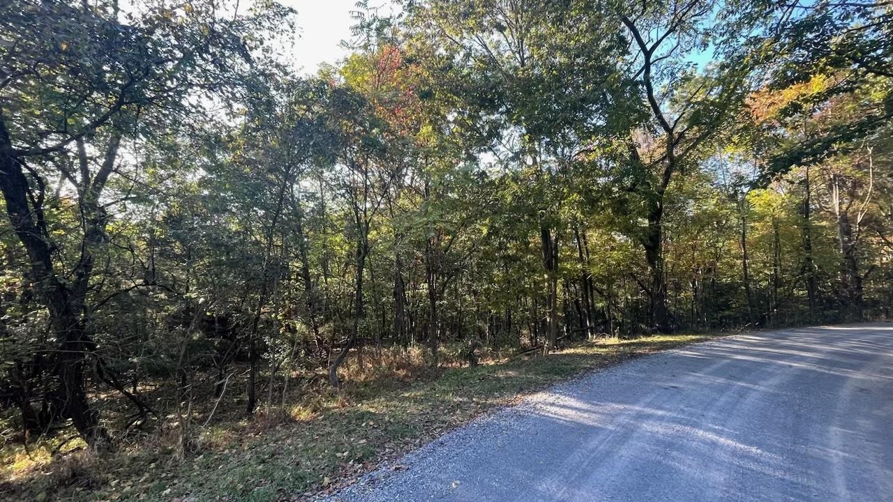 Lot 23 Woodside Drive Rileyville, VA 22650 - Photo 2 of 7 Gallery Image 2