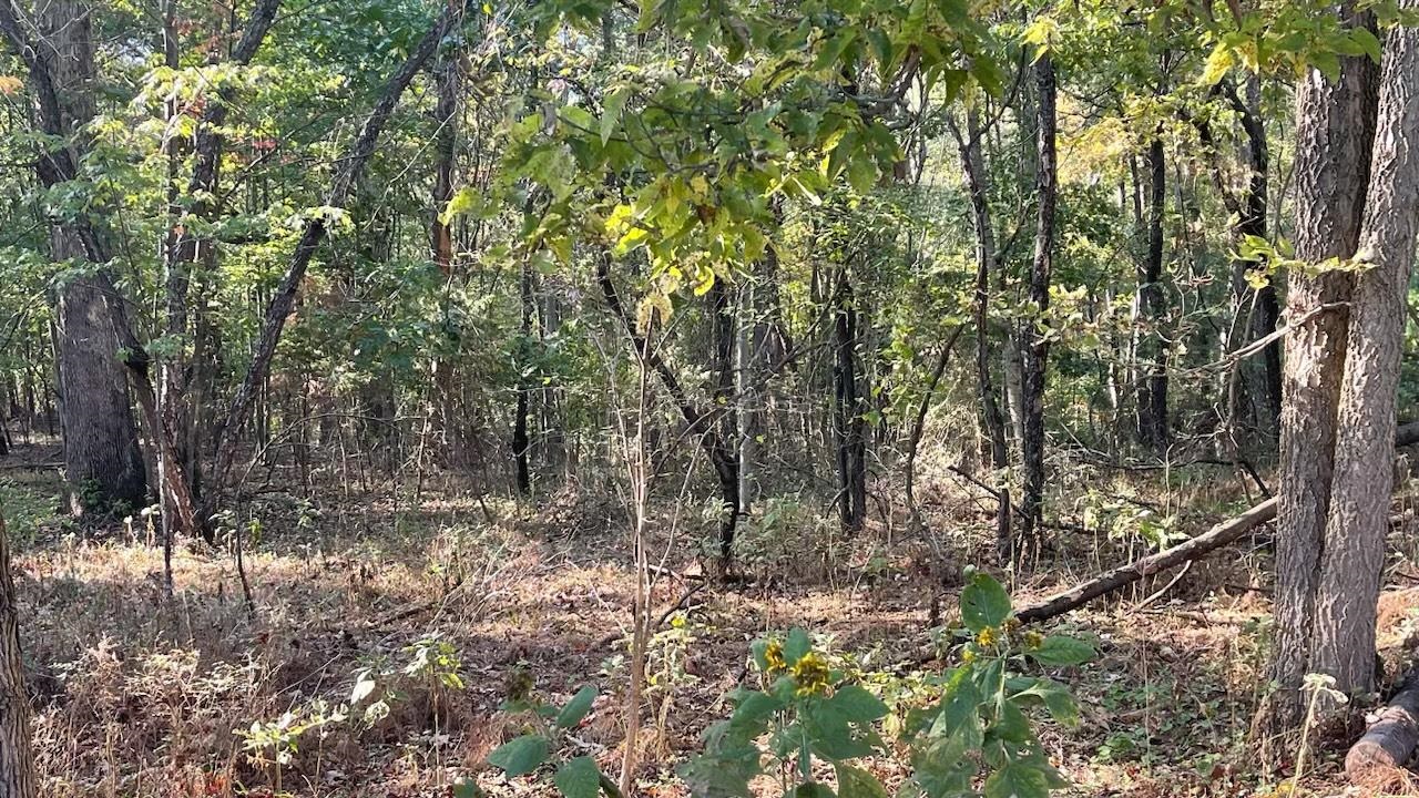 Lot 23 Woodside Drive Rileyville, VA 22650 - Photo 4 of 7 Gallery Image 4