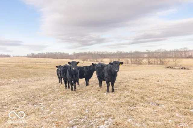 $1,135,000 | 90 South County Road 100 East, Lewisville, IN 47352