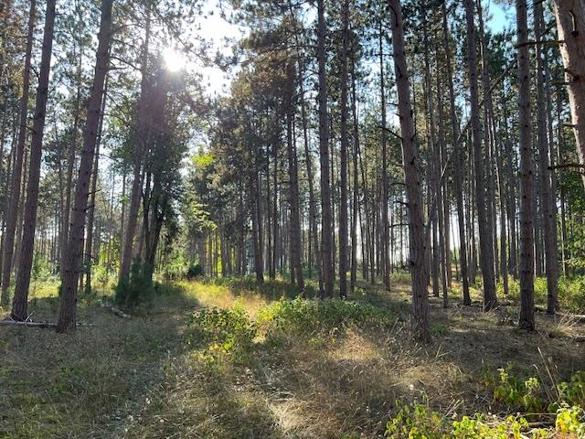 Samels Road Williamsburg, MI 49690 - Photo 1 of 8
