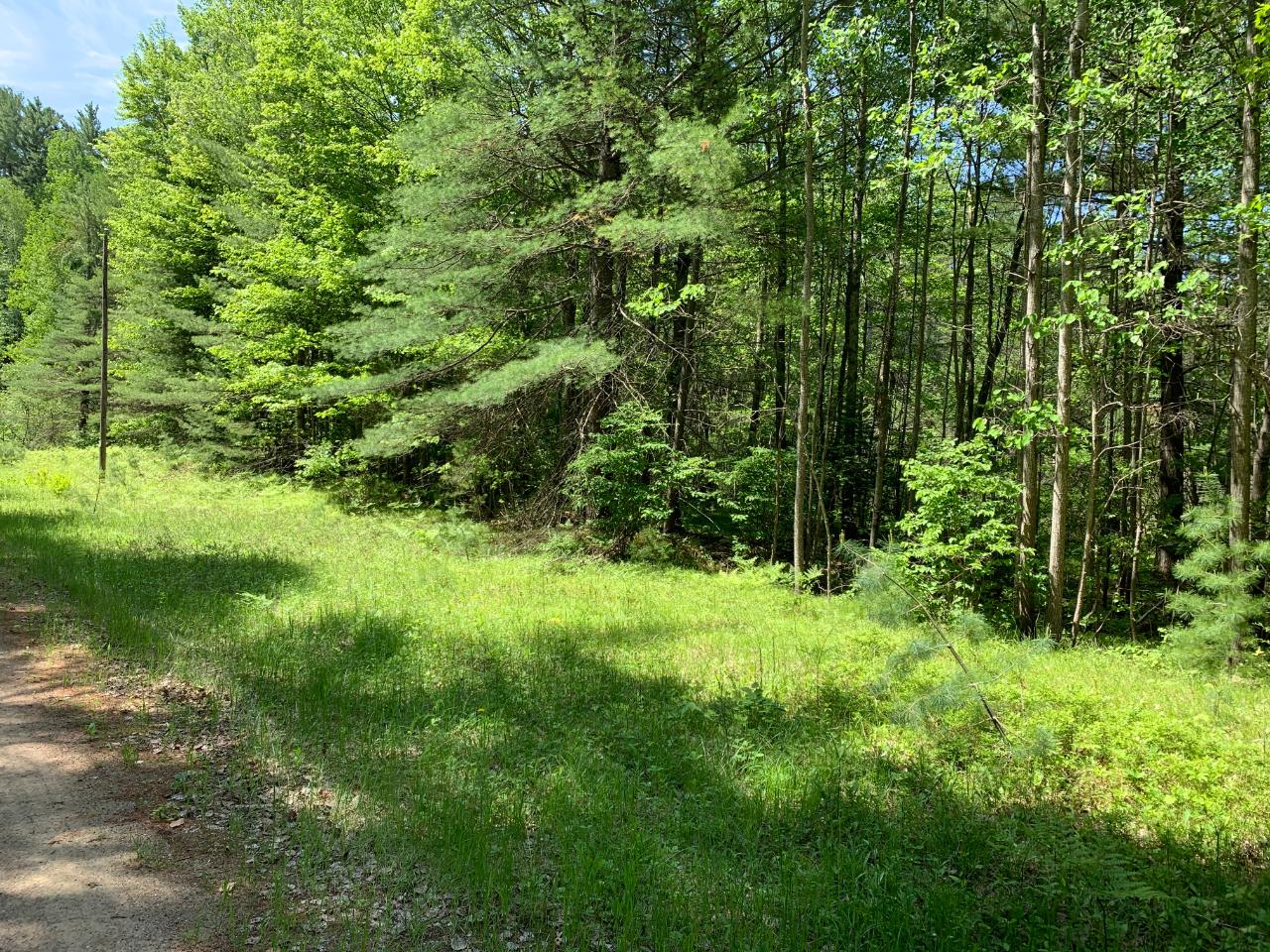 Lot 1 Somo Ridge Road Tomahawk, WI 54487 - Photo 4 of 12 Gallery Image 4