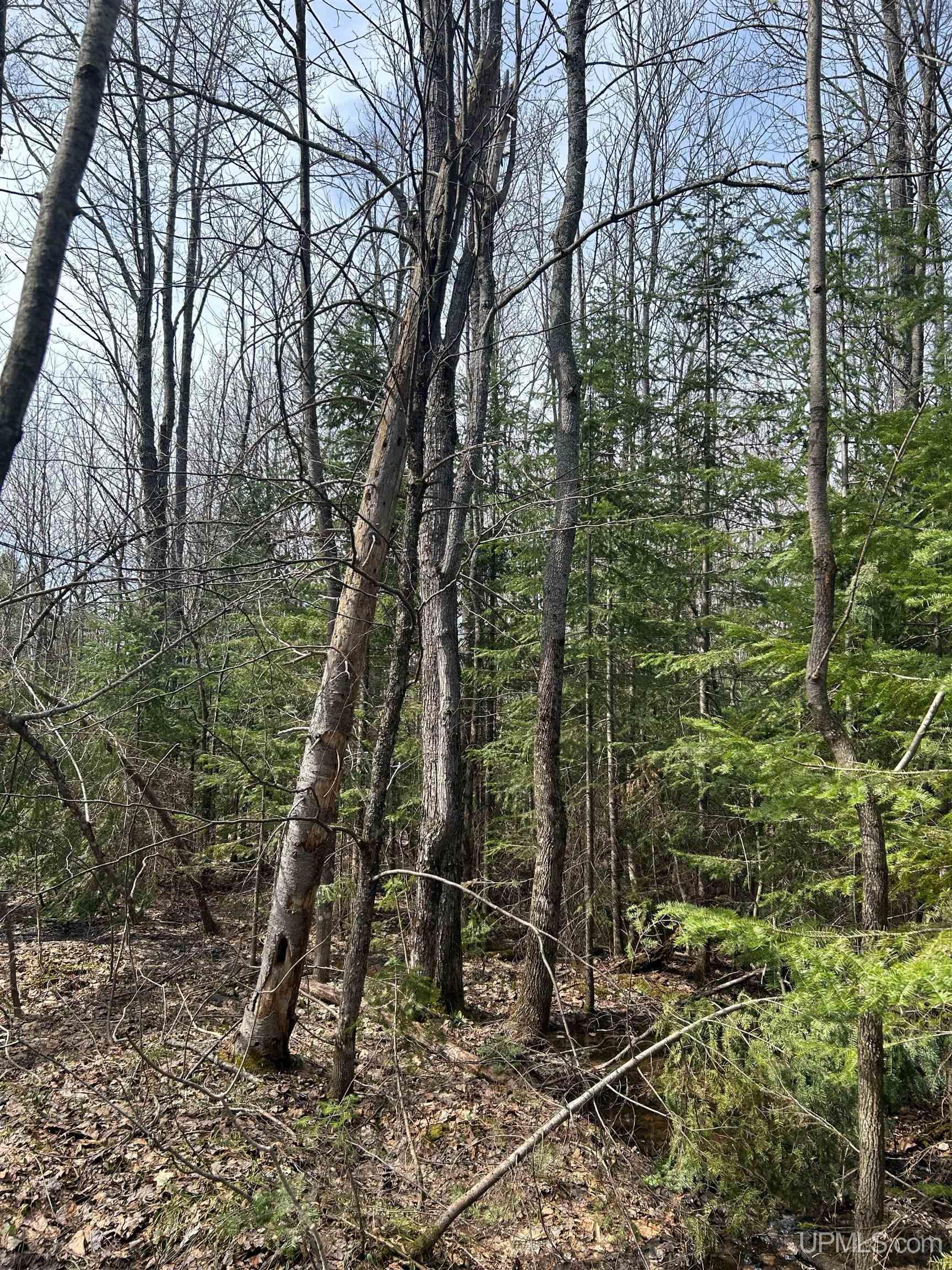 4-10 Firesteel Road Ontonagon, MI 49953 - Photo 12 of 28