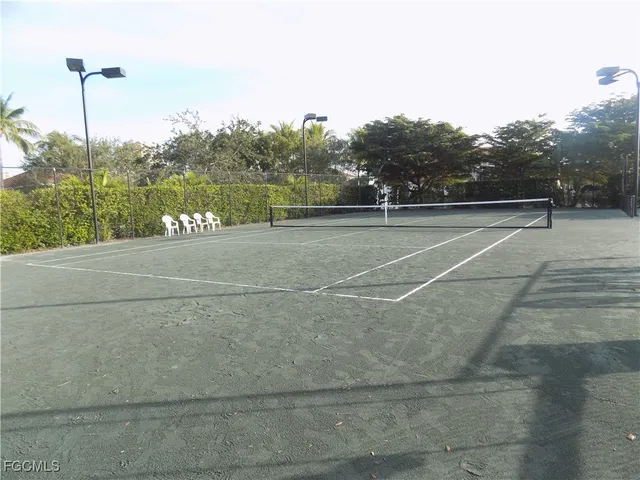 a view of a lake with palm trees