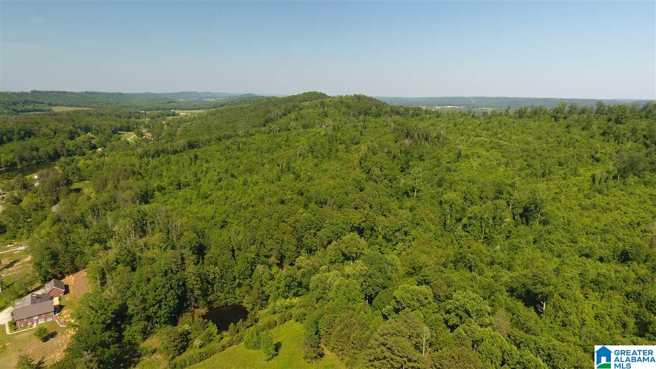 2762 Highway 42 Oneonta, AL 35121 - Photo 5 of 44
