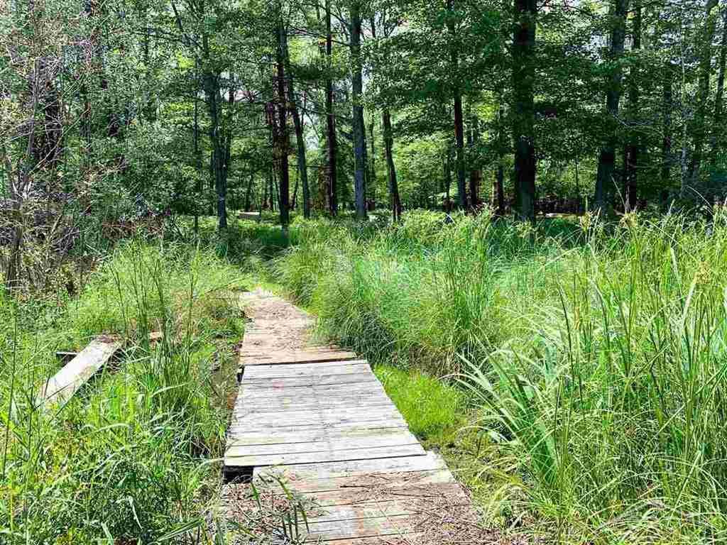 Vl Pineview Shores Road Prescott, MI 48756 - Photo 11 of 12 Gallery Image 11