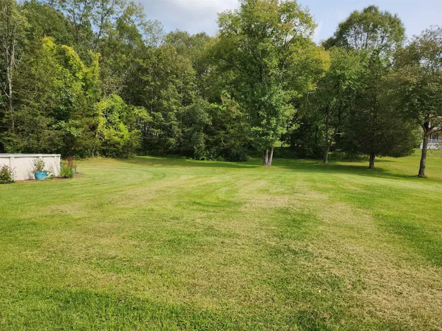 a view of a field with a trees in the background