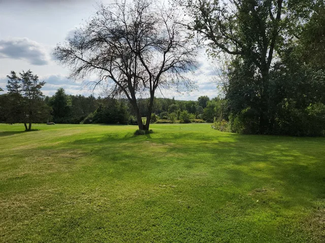 a view of a field with trees