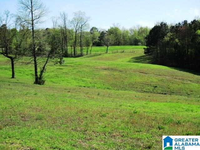 6971 Highway 24 Oneonta, AL 35121 - Photo 25 of 45