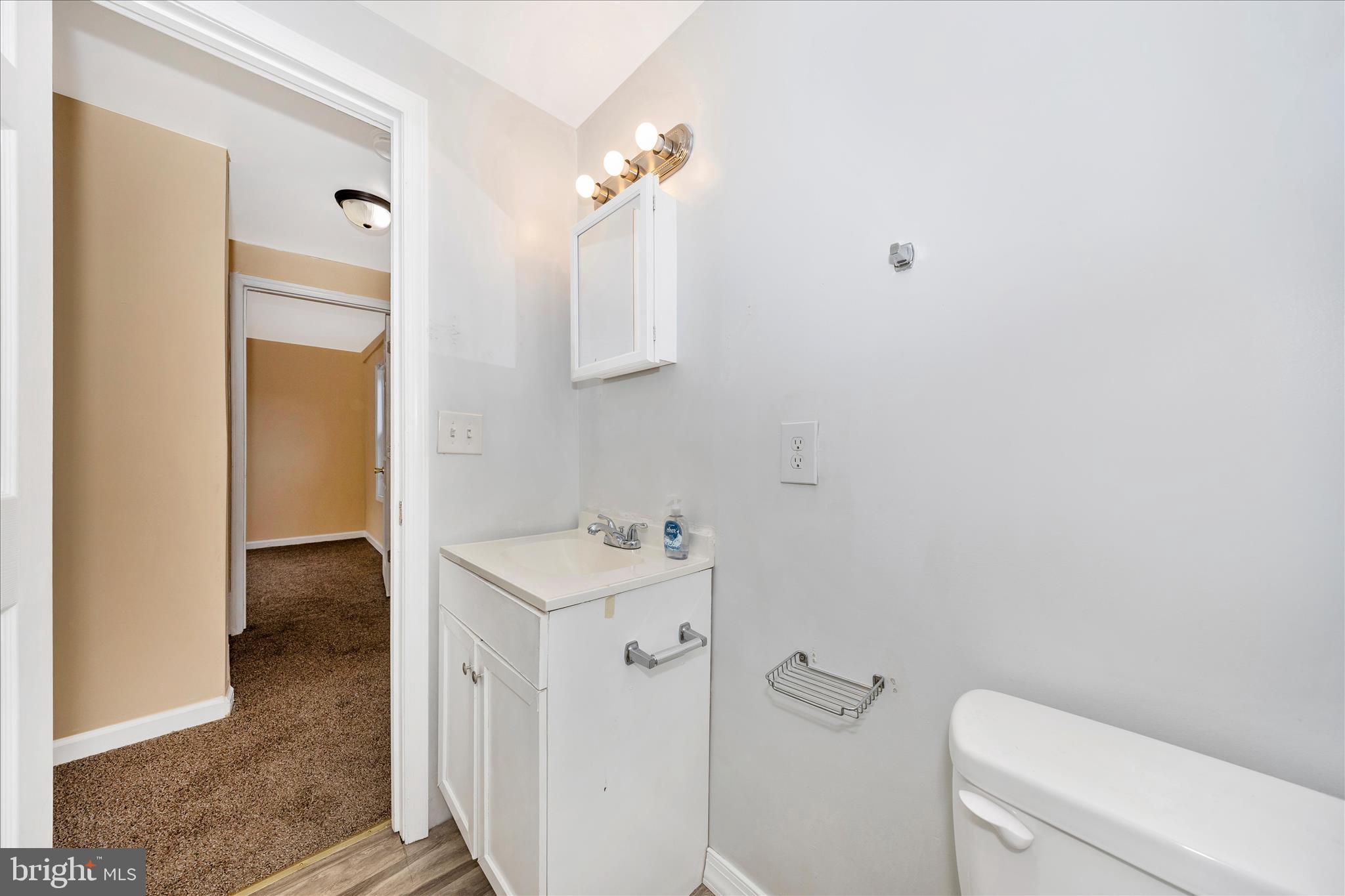 225 Alexander Street Hagerstown, MD 21740 - Photo 32 of 49 Hall Bathroom